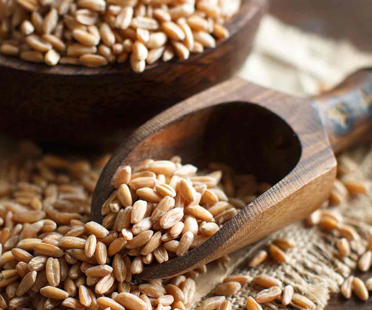 The Truth About Whole Grains